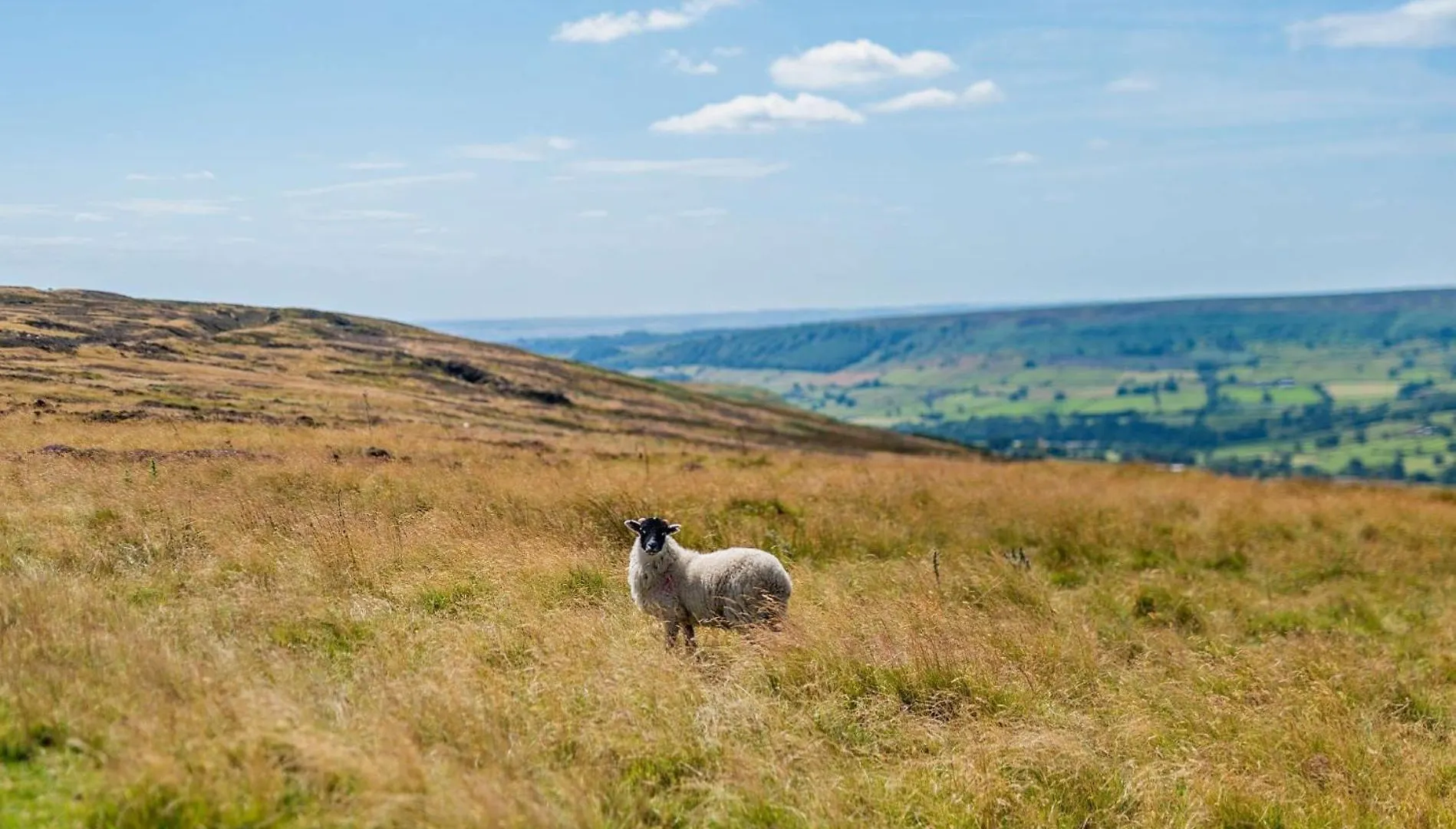 Dom wakacyjny Willa 4 Bed In North York Moors 82262 Danby